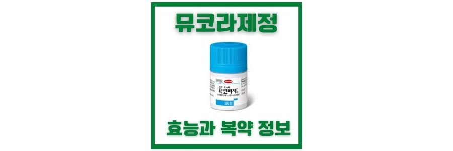  뮤코라제정 효능과 효과 및 복약 정보