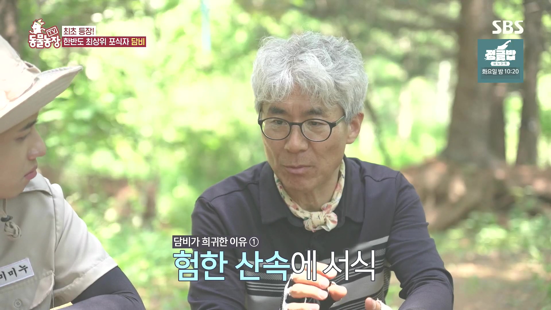 TV 동물농장.E1185.240818p.H264-F1RST.mp4_20240818_161246.023.jpg