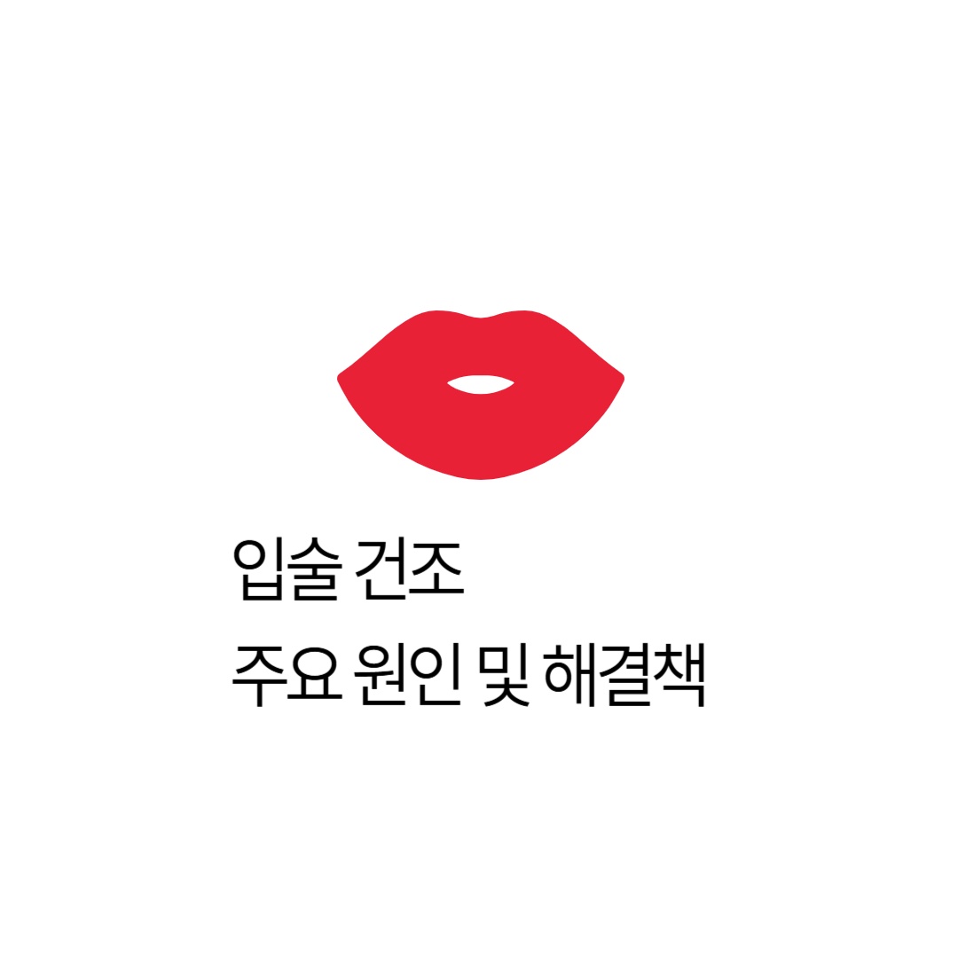 입술건조