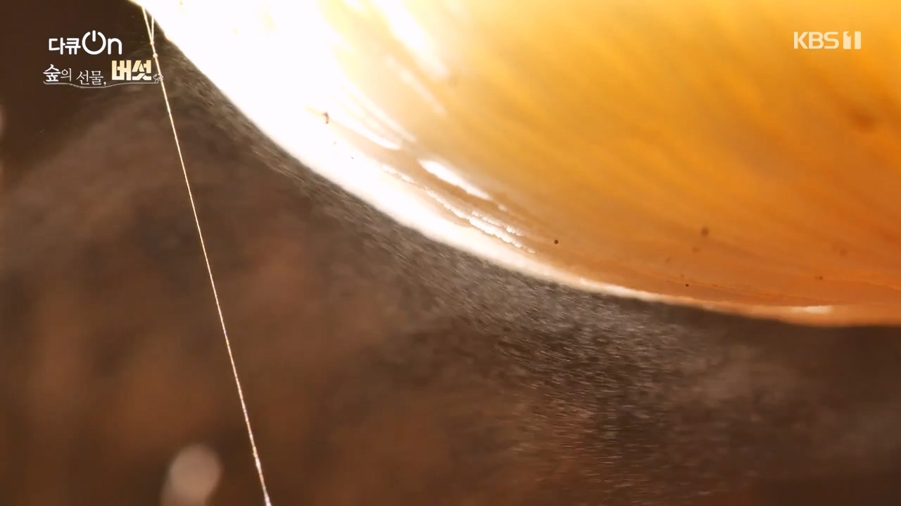 다큐 온.E227.231120p-NEXT.mp4_20231121_201958.162.jpg