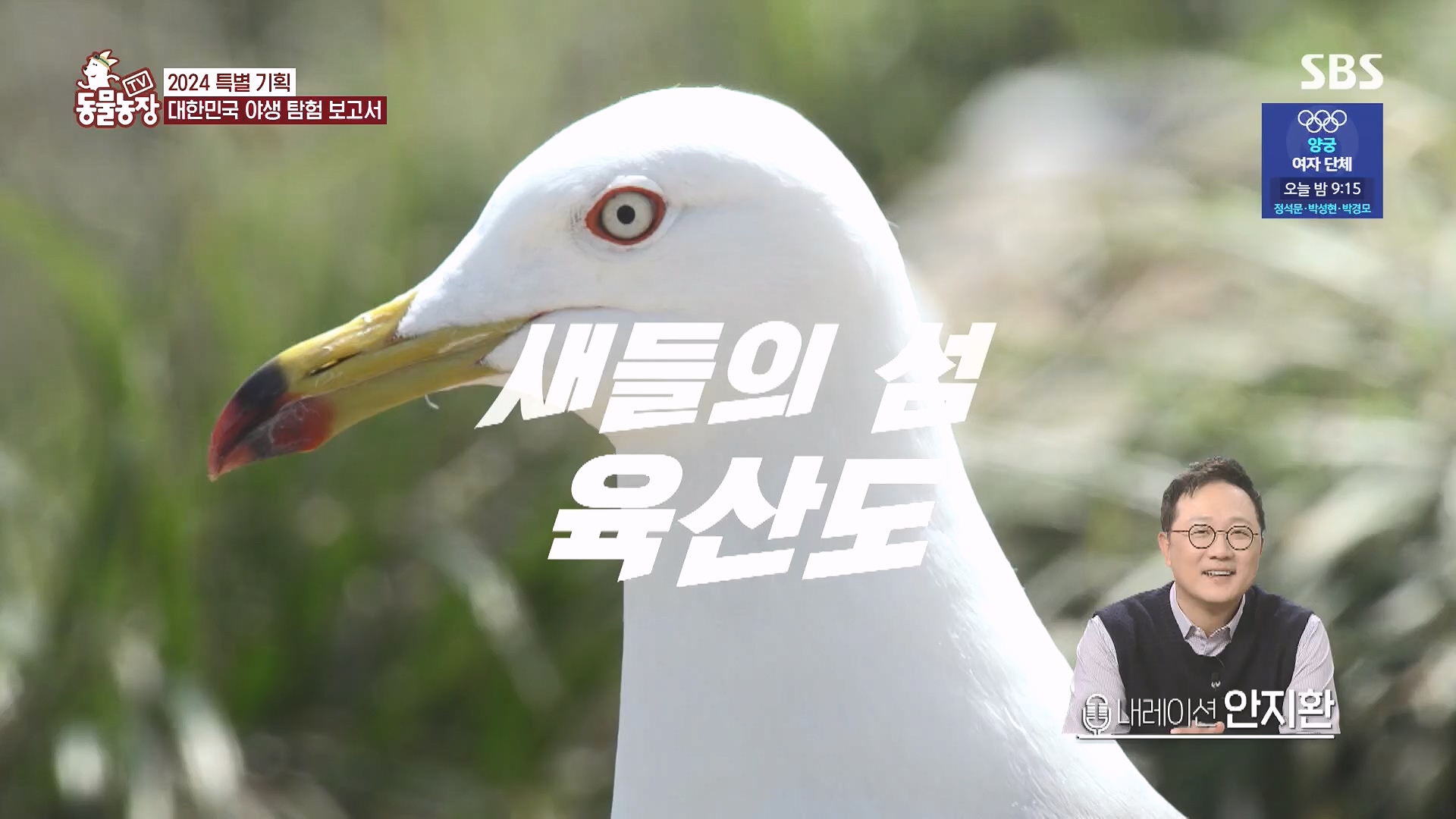 TV 동물농장.E1182.240728p.H264-F1RST.mp4_20240728_152542.034.jpg