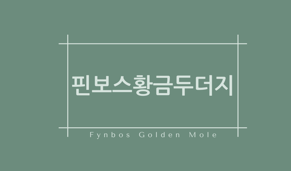 핀보스황금두더지(Fynbos Golden Mole)