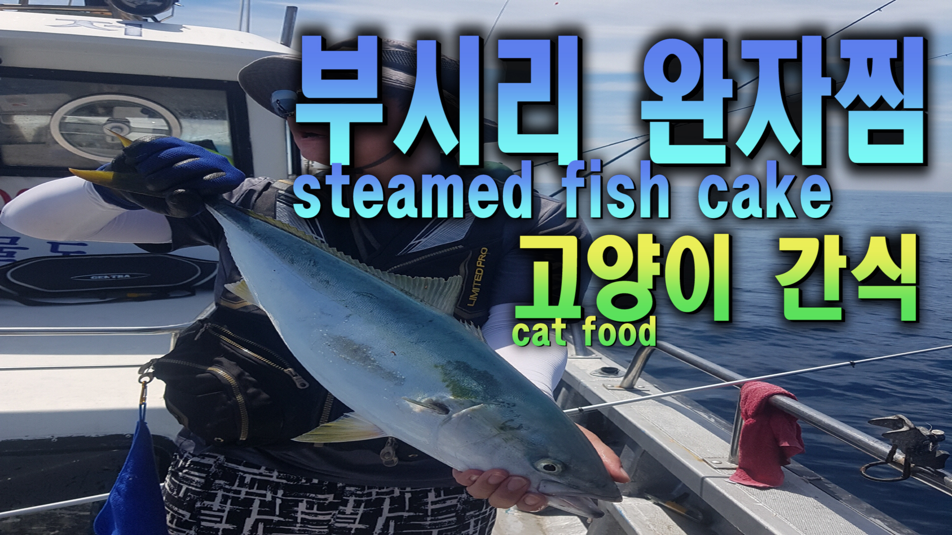  고양이 자연식#11 - 부시리 생선 완자찜, 선상낚시