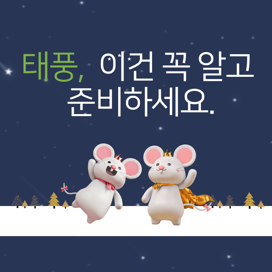  태풍 이건 꼭 알고 준비하세요