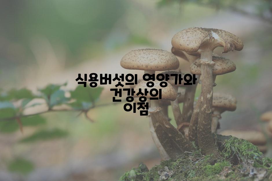 식용버섯의 영양가와 건강상의 이점
