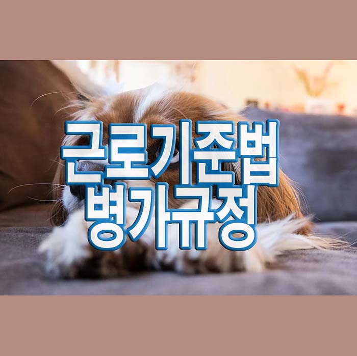  근로기준법 병가 규정과 병가 급여처리 알아보기