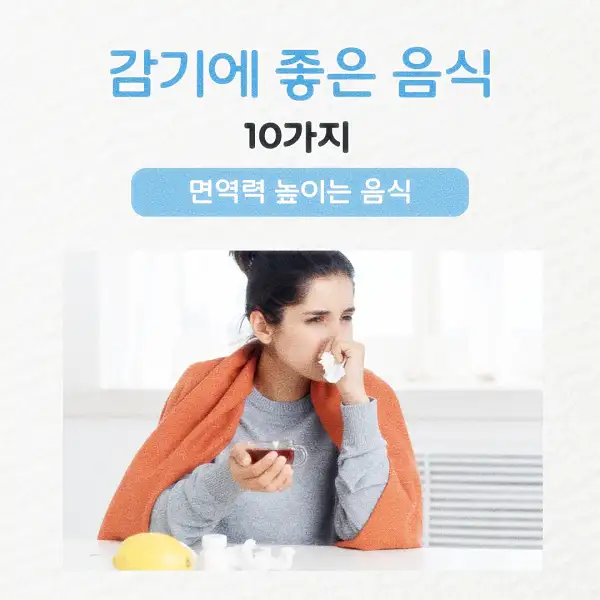 감기에 좋은 음식