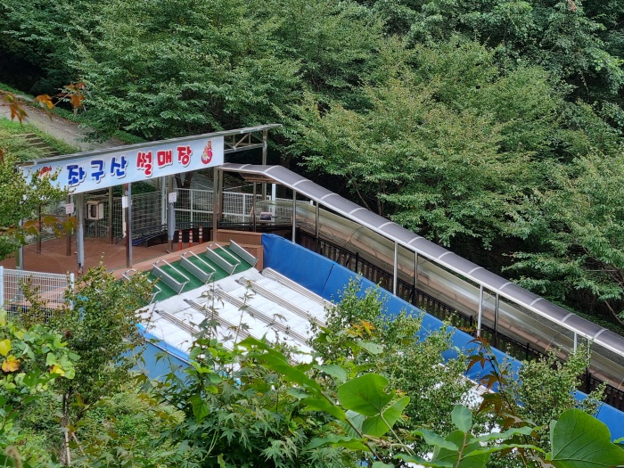 썰매장