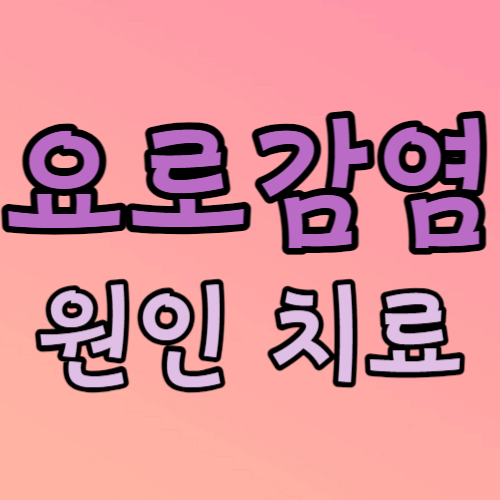 요로감염 원인 치료