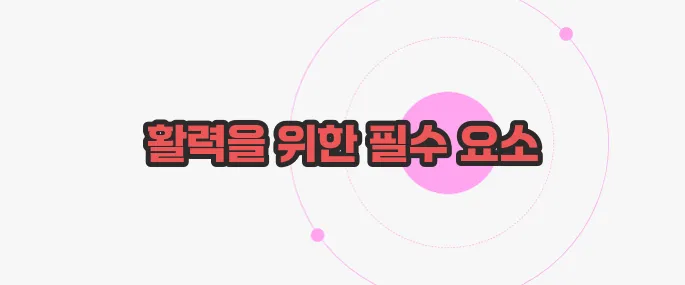 비타민 c 효능 이제 하나씩 확인해보죠