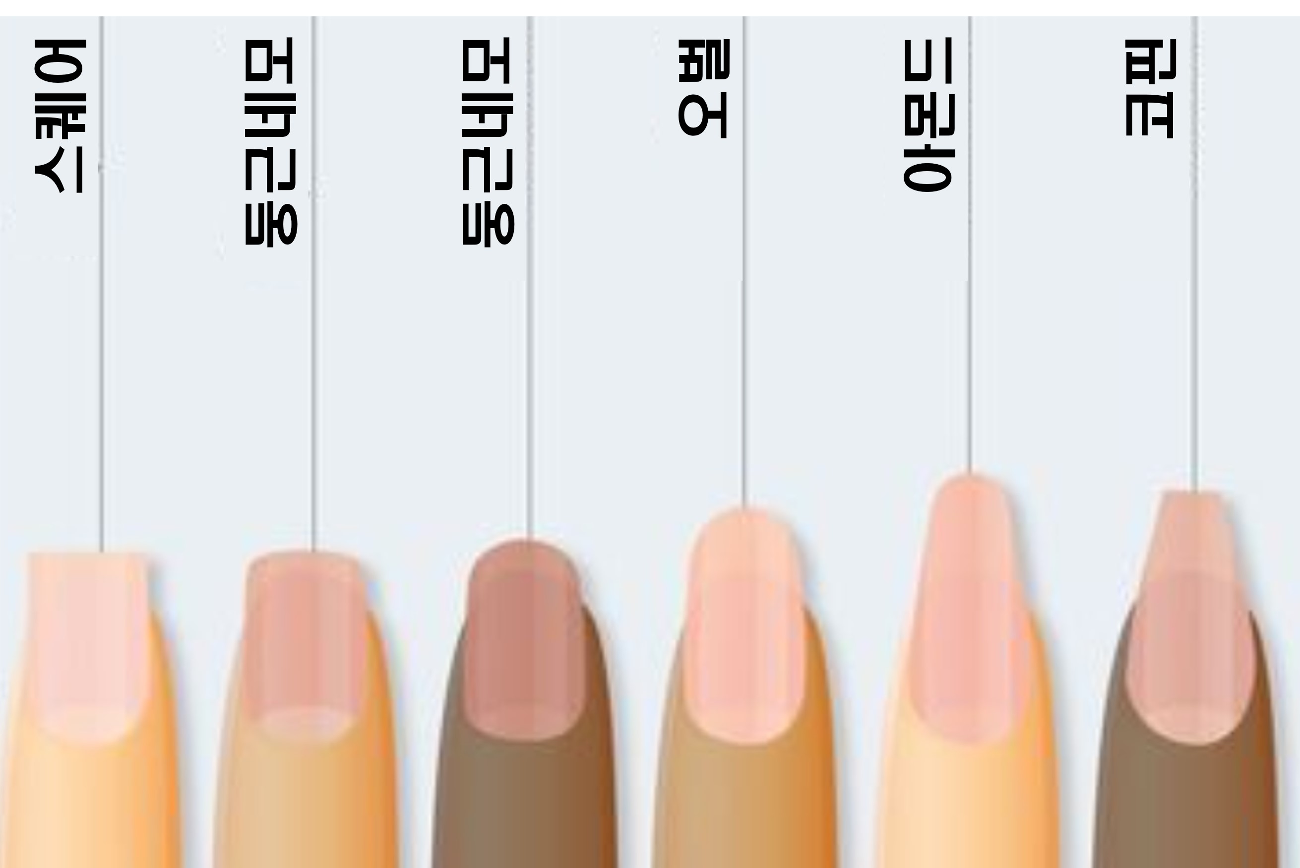 네일 손톱 모양