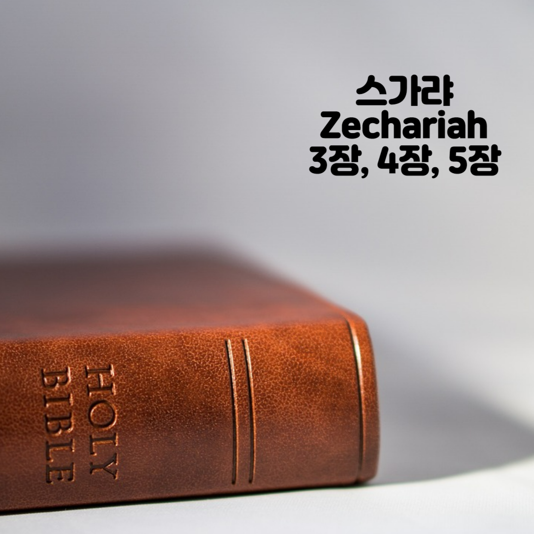 Holy BIBLE 생명의 삶 영어 한글 성경 말씀 - 스가랴(Zechariah) 3장 ~ 5장