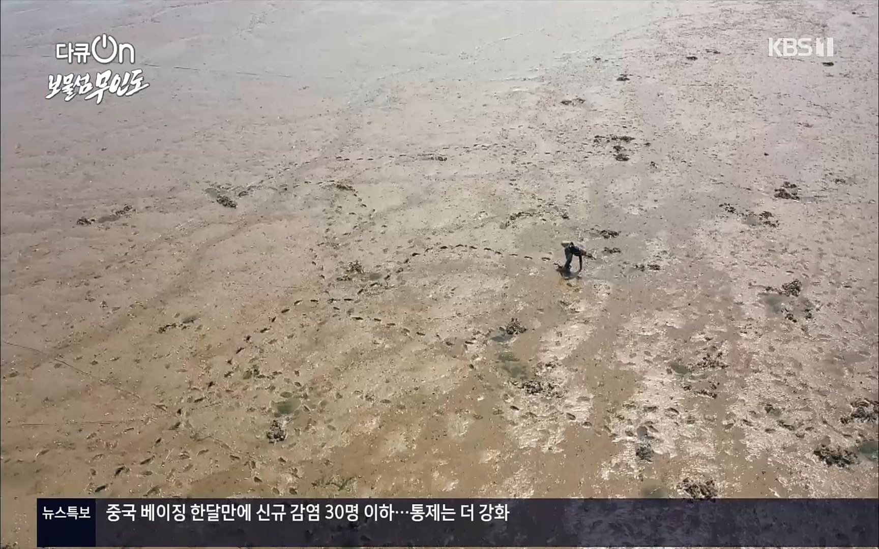 다큐 On.E141p.H264-F1RST.mp4_20220530_202703.572.jpg