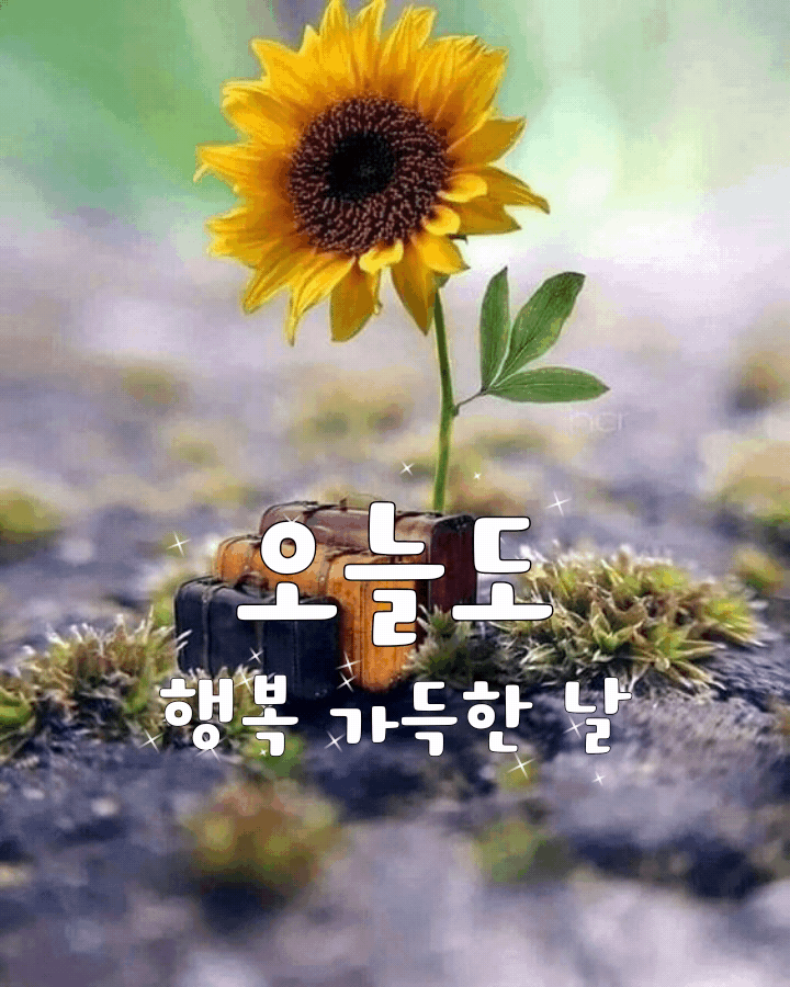  오늘의 좋은글 323번째 본인이 하는 일을 사랑해야 합니다