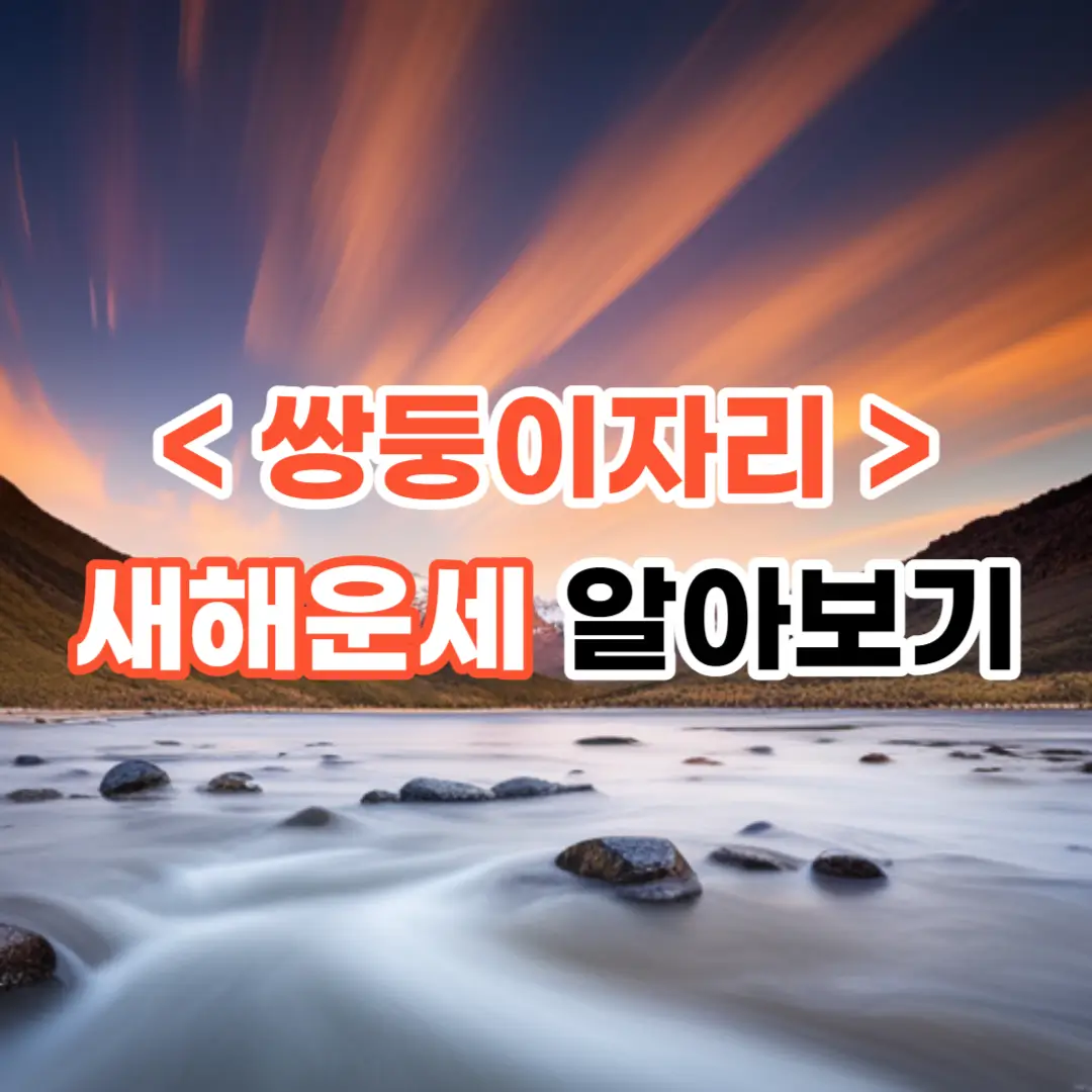 2024년 쌍둥이자리 새해 운세 알아보기