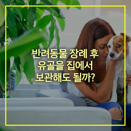 반려동물 장례 후 유골을 집에서 보관해도 될까