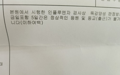 a형 독감 증상 검사비용 격리기간 감기 차이 