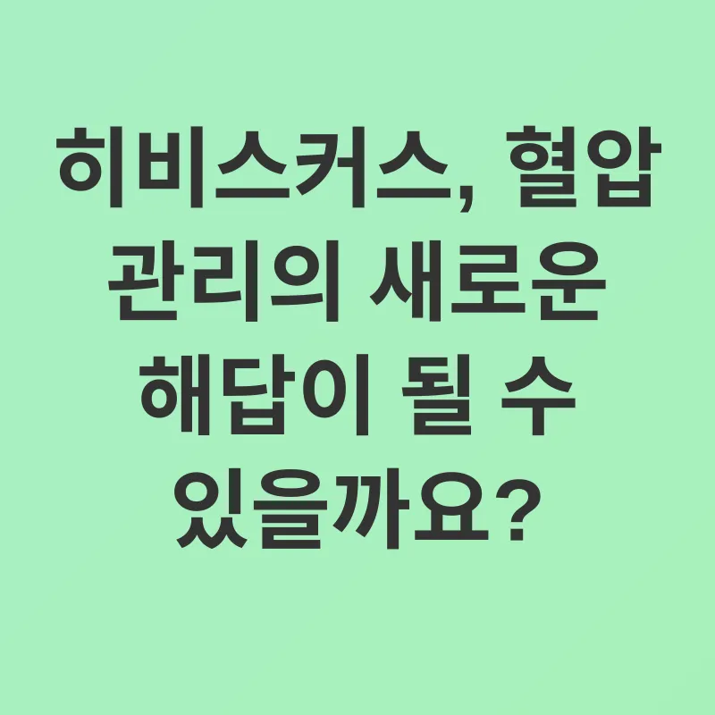 히비스커스차 효능_1
