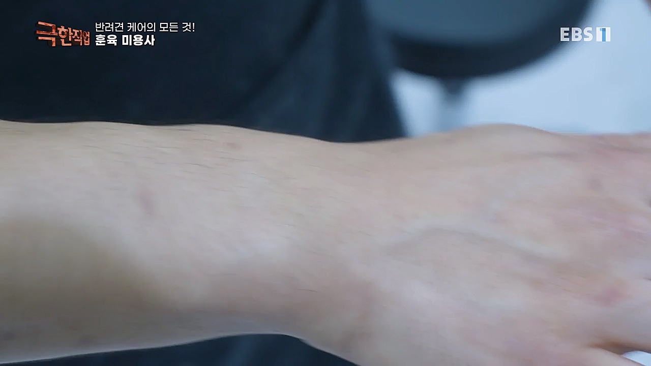 TV - 교육의 중심 EBS반려견 케어의 모든 것!.mp4_20230326_164756.790.jpg