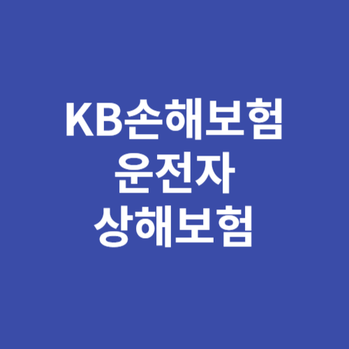 KB손해보험 운전자 상해보험