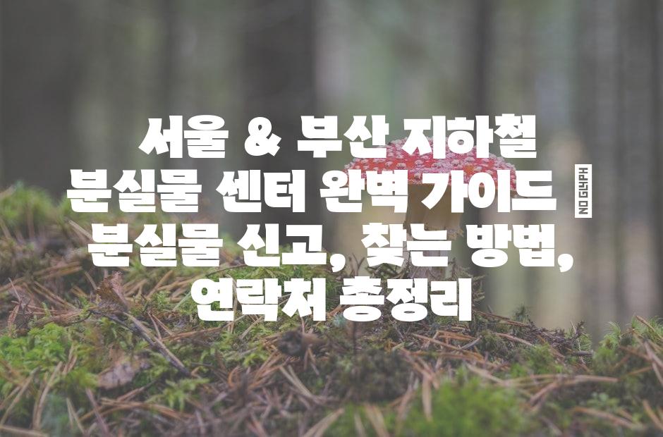 샘플 (42)