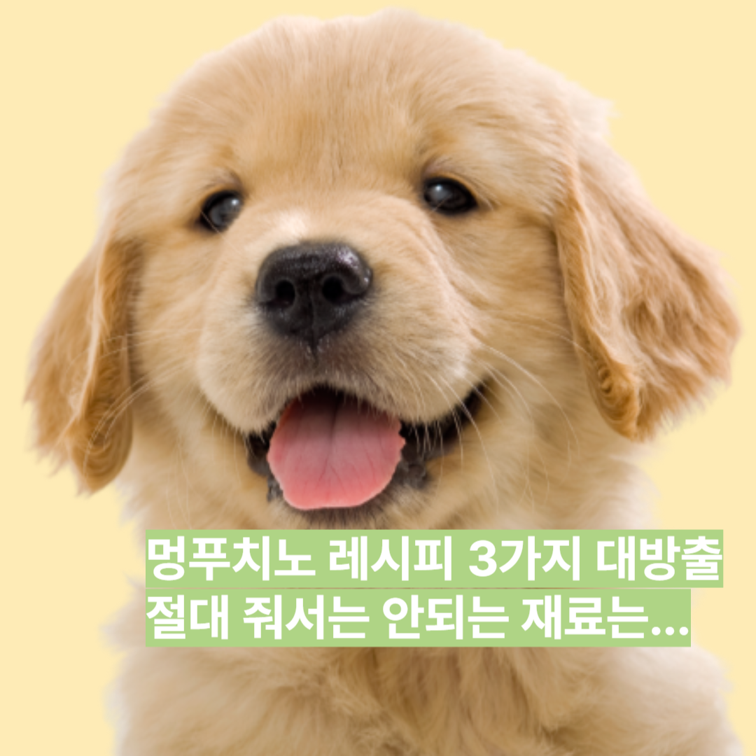 강아지