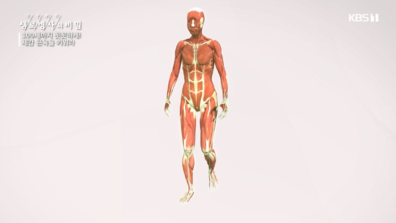 생로병사의 비밀.E885.231012p-NEXT.mp4_20231012_203445.186.jpg