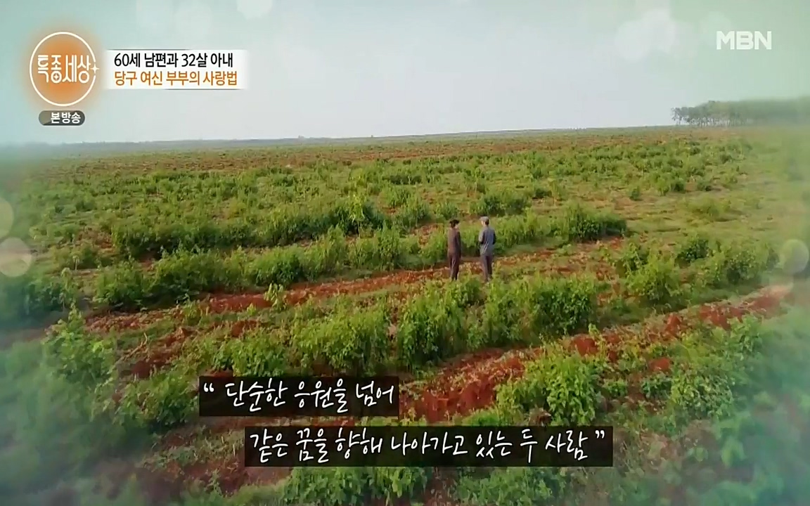 현장르포 특종세상.E528.220429p-NEXT.mp4_20220429_192031.003.jpg