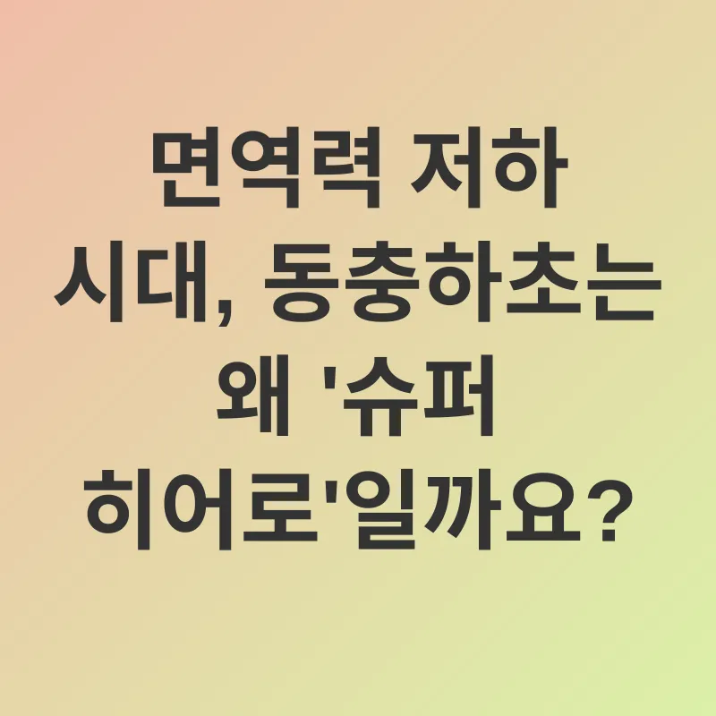 동충하초 효능_1