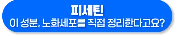 피세틴 효능 복용법