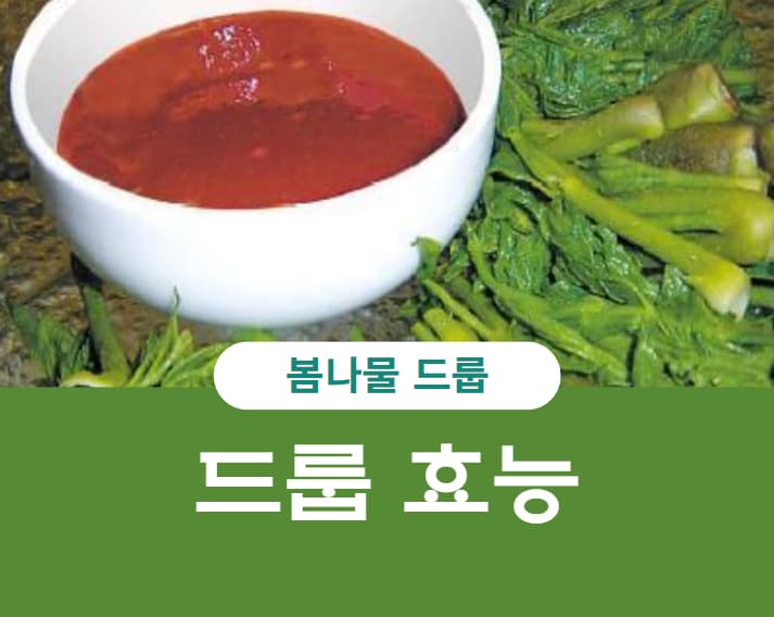  두릅(드릅)의 효능과 종류, 칼로리
