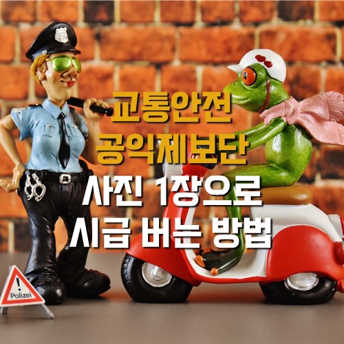 교통안전 - 공익추진위원회