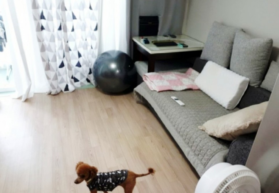 : 구조변경 완성! 24평 아파트 거실 장식 2