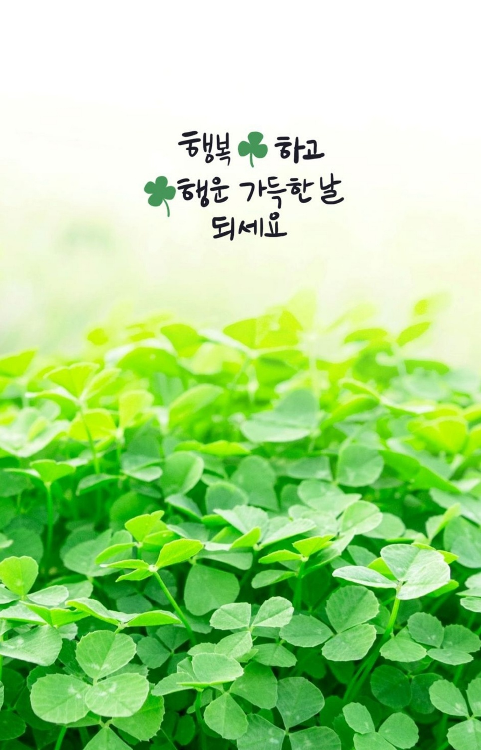 여-백 이미지