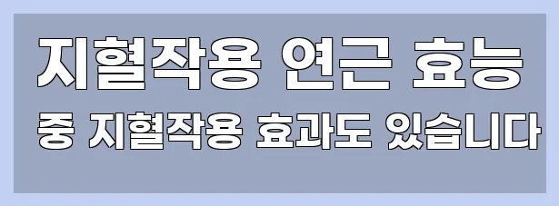  지혈작용 연근 효능 중 지혈작용 효과도 있습니다