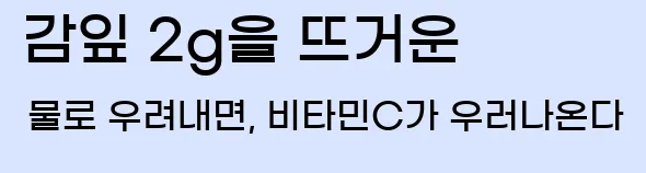  감잎 2g을 뜨거운 물로 우려내면, 비타민C가 우러나온다