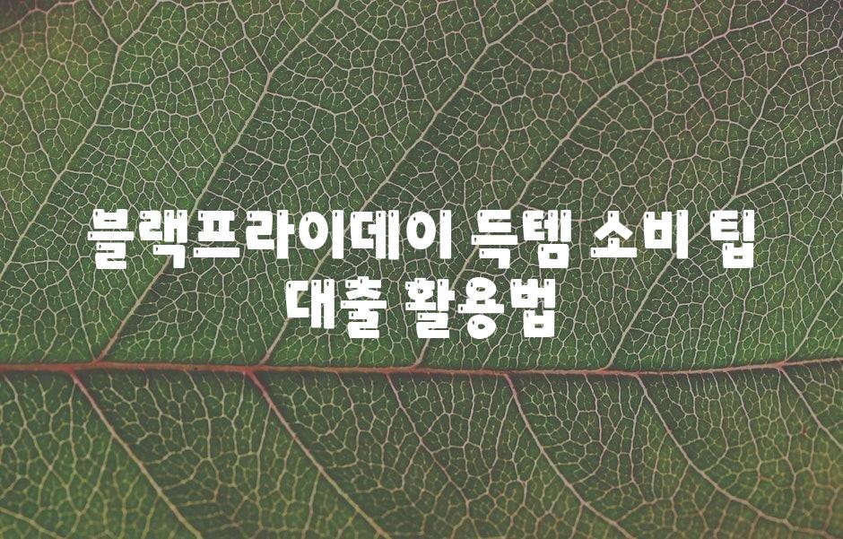 블랙프라이데이 득템, 소비 팁 & 대출 활용법