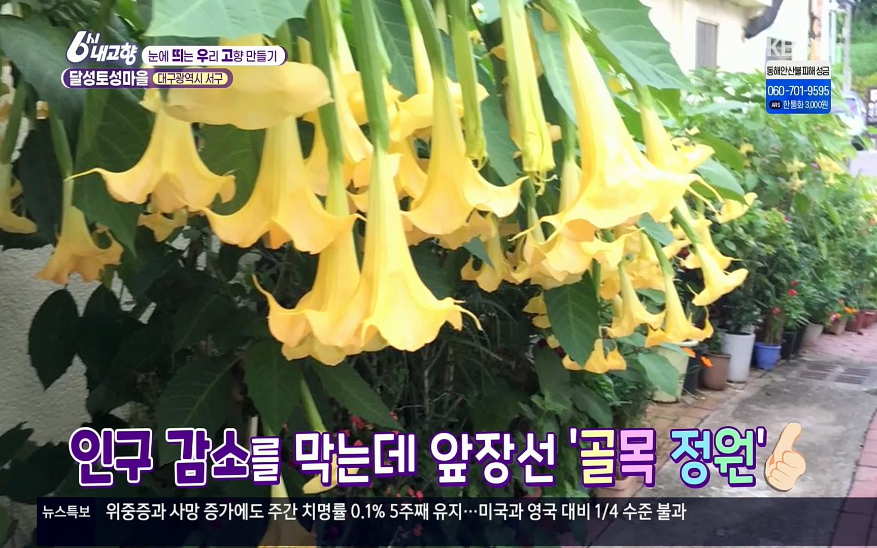 6시 내고향.E7496.220324p.H264-F1RST.mp4_20220328_175220.954.jpg