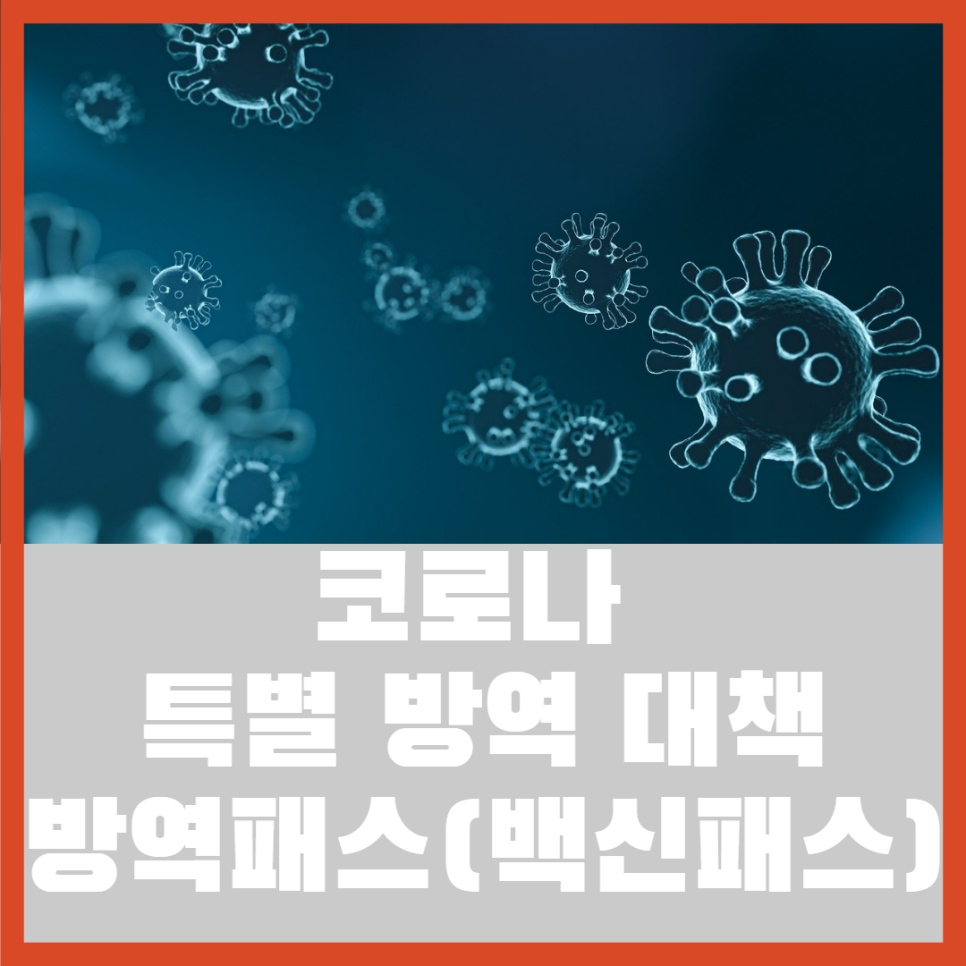  특별방역 대책 후속 조치 백신패스라 불리는 방역패스 시행 등 방역조치 강화