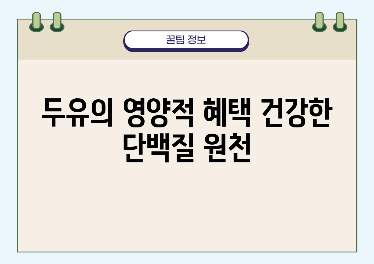 두유의 영양적 혜택 건강한 단백질 원천