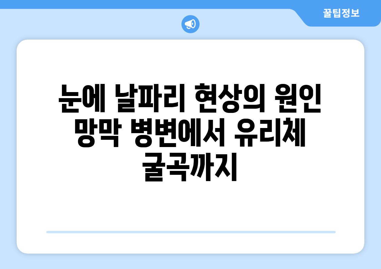 눈에 날파리 현상의 원인 망막 병변에서 유리체 굴곡까지