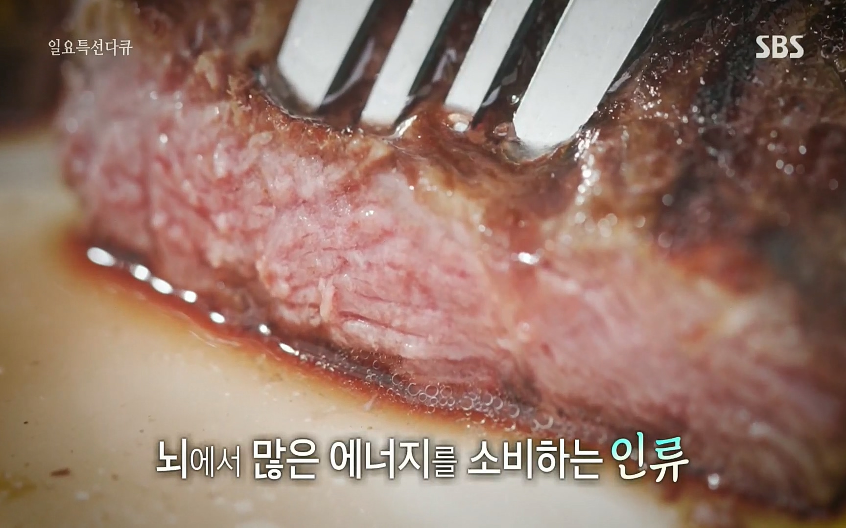 일요 특선 다큐멘터리.E283.220717p.H264-F1RST.mp4_20220718_200231.766.jpg