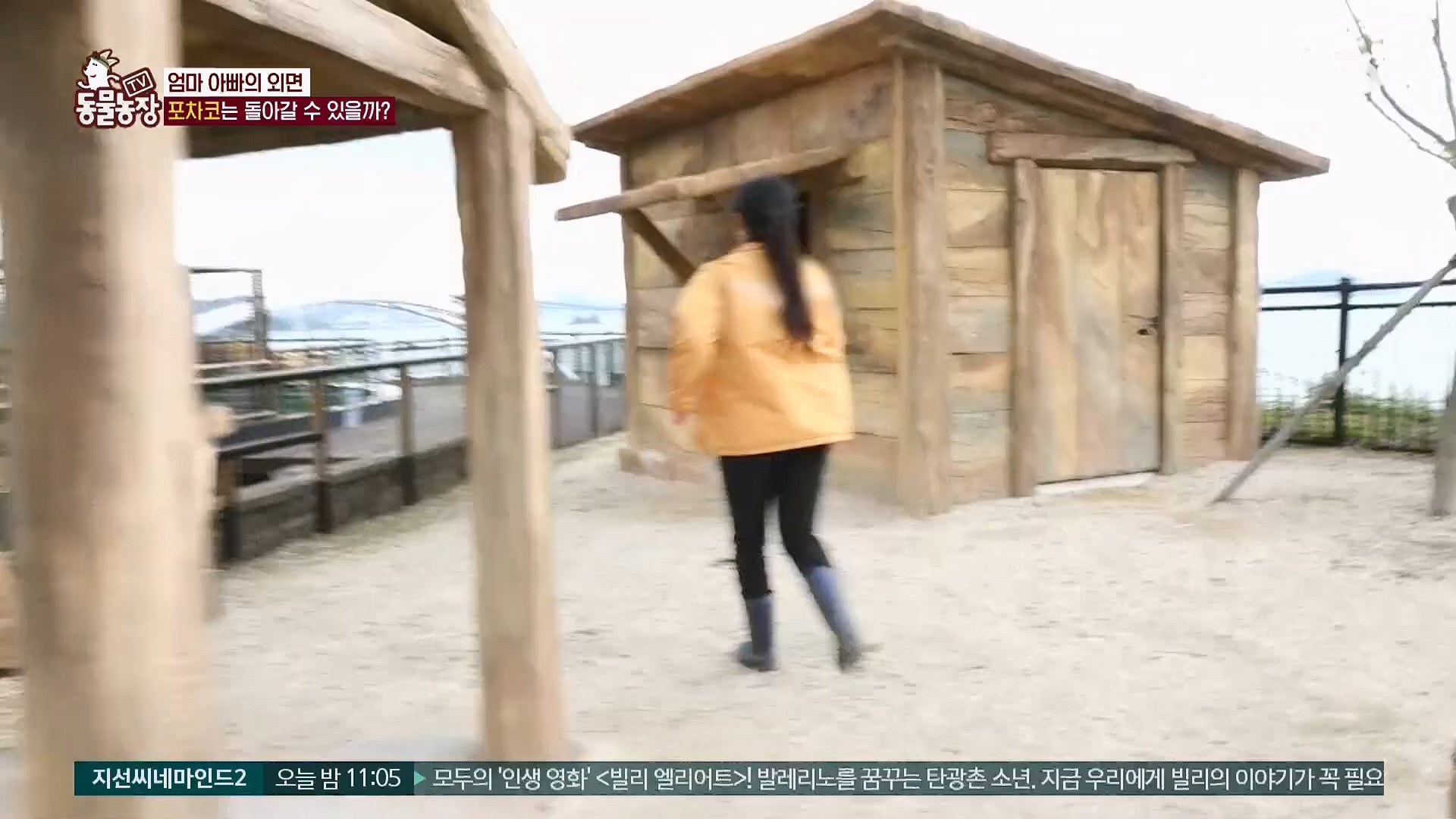 TV 동물농장.E1119.230507p.H264-F1RST.mp4_20230507_135922.805.jpg