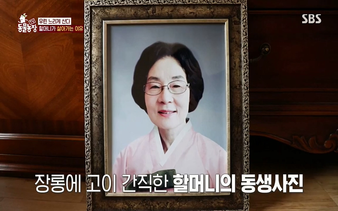 TV 동물농장.E1076.220704p.H264-F1RST.mp4_20220703_175608.323.jpg