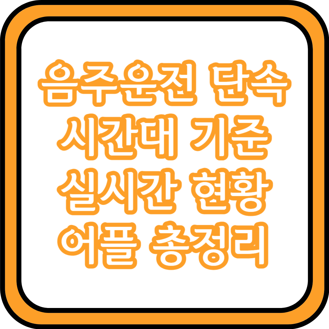  음주운전 단속 시간대 기준 실시간 현황 어플 총정리
