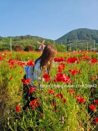 5월 경남 부산 근교 가볼만한곳 베스트10 명소_18