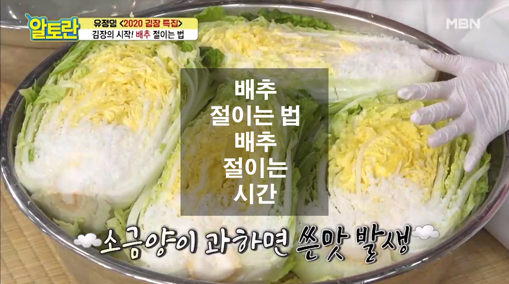  배추 절이는 법 그리고 배추 절이는 시간