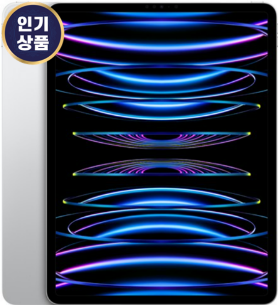  아이패드 프로 5세대 12.9 추천 구매정보 알아보기