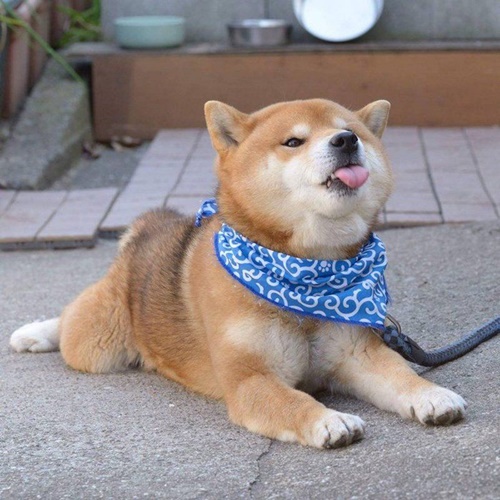 싫어하는모습