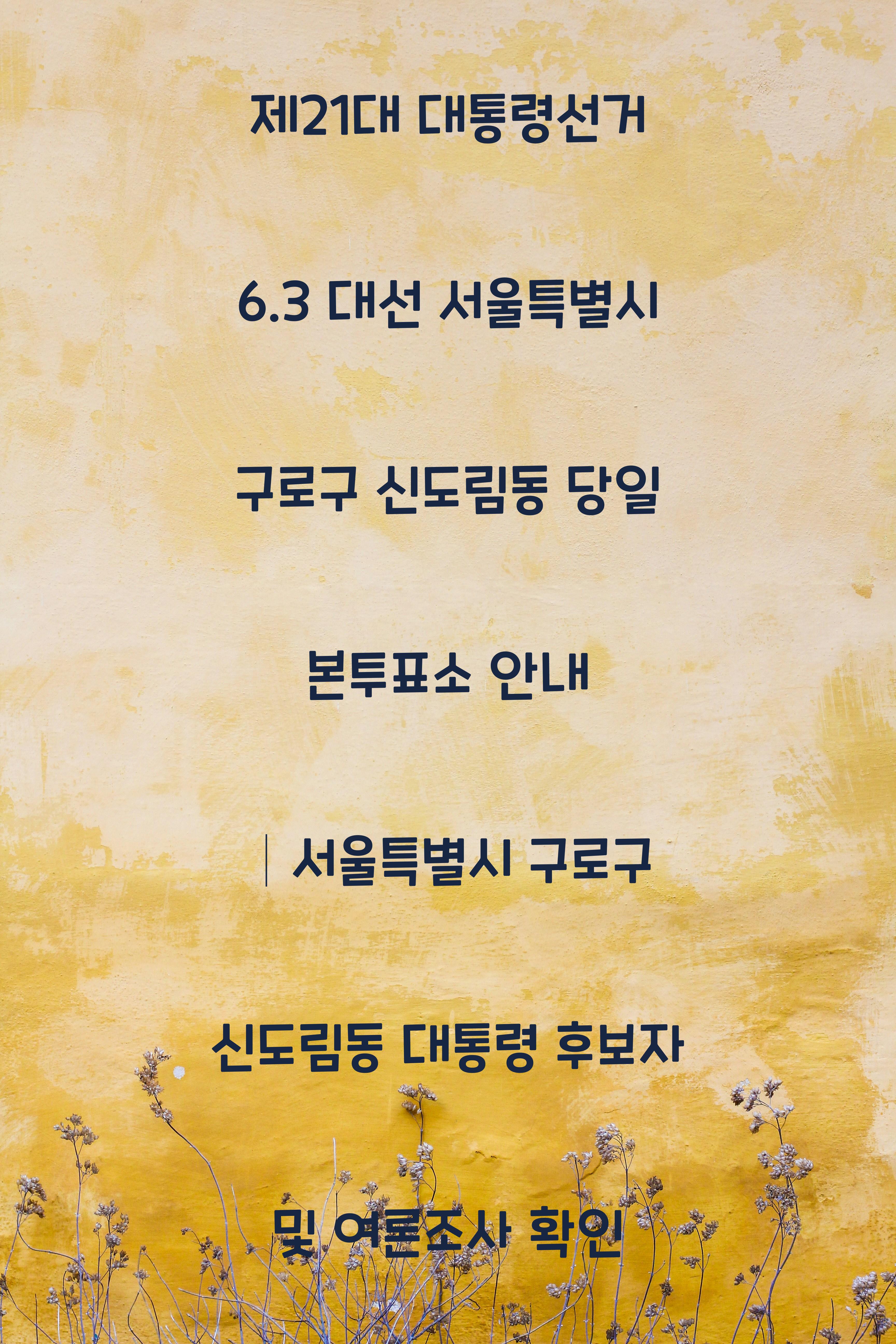 제21대 대통령선거 6.3 대선 서울특별시 구로구 신도림동 당일 본투표소 안내 │서울특별시 구로구 신도림동 대통령 후보자 및 여론조사 확인